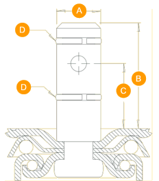 stem